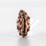 One Mukhi (South Indian) - Image 3