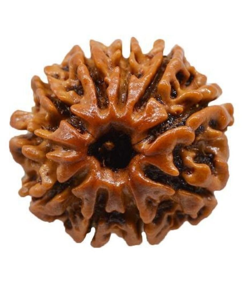10-mukhi Ten Mukhi - Image 1