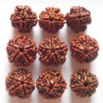 Five Mukhi (Nepali) - Image 2