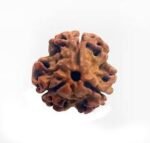 Three Mukhi (Nepali) - Image 3