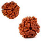 Three Mukhi (Nepali) - Image 2