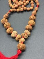 Indonesian 1 to 14 Mukhi Rudraksha Mala -Lab Tested | Original Java Rudraksha