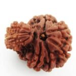 Garbh Gauri (Nepali) Rudraksha - Image 3