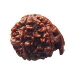 Ganesh (Nepali) Rudraksha - Image 3
